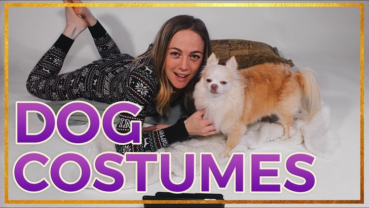 Best Dog Halloween Costumes - DIY Ideas