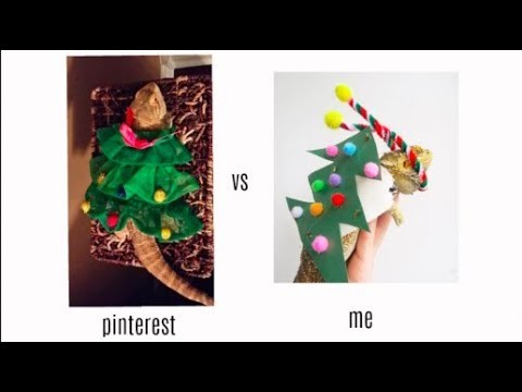 DIY Christmas Tree Bearded Dragon For Halloween - failed again | PansyPan