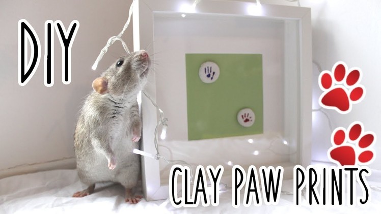 DIY CLAY PAW PRINTS  ???? | With Rats ????