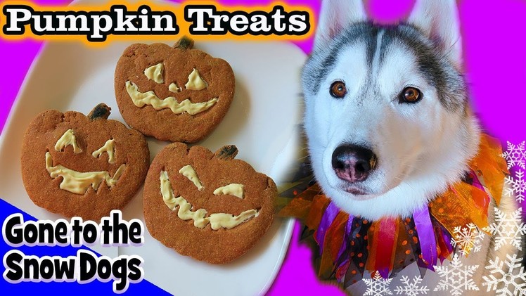 DIY Halloween Dog Treats Jack-o-Lantern | DIY Dog Treats | Snow Dogs Snacks 85
