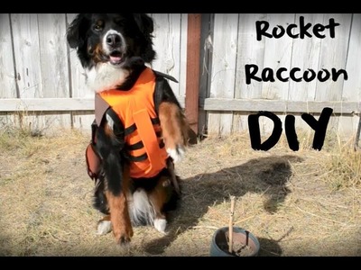 DIY Rocket Raccoon Costume for Dogs