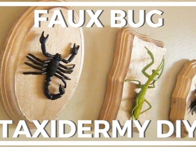 Faux Bug Taxidermy ♥ DIY Halloween Décor