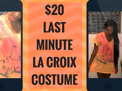 LAST MINUTE LA CROIX HALLOWEEN COSTUME | DIY