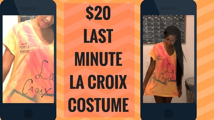 LAST MINUTE LA CROIX HALLOWEEN COSTUME | DIY