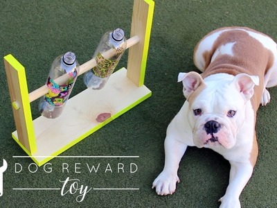 DIY Dog Reward Toy