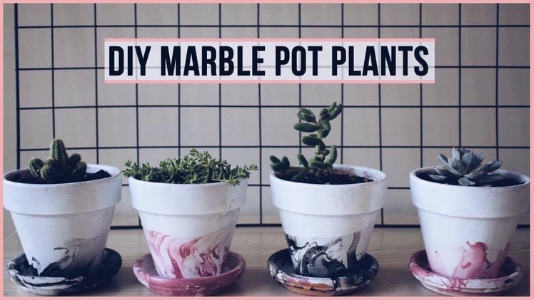 DIY Marble Pot Plants | Easy and Affordable