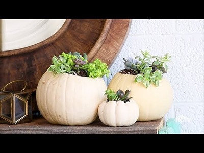 DIY Pumpkin Succulent Planters for Halloween