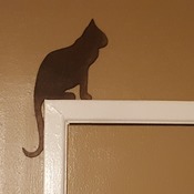 Door frame cats