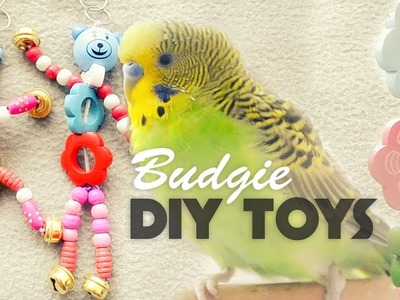 How to make Budgie Toys | DIY Toys Under 10$