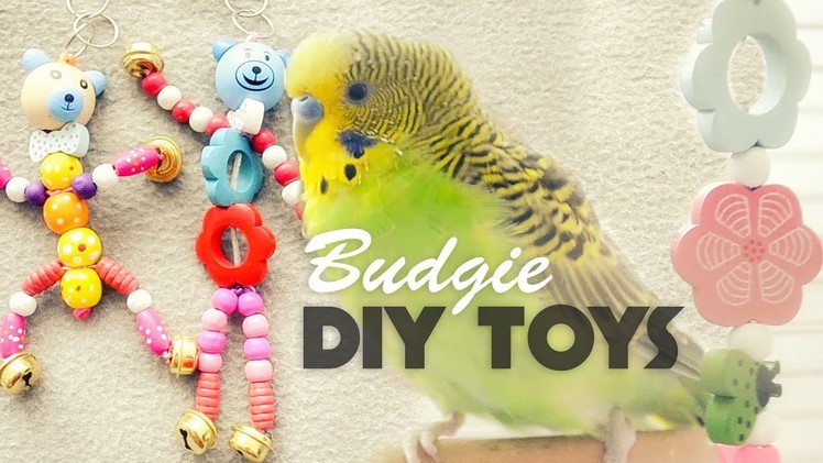 How to make Budgie Toys | DIY Toys Under 10$