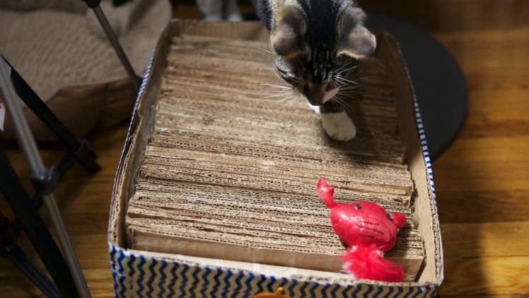 Easy cardboard cat scratcher DIY