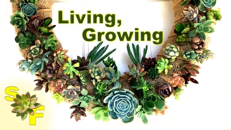 How to Make a Succulent Wreath Arrangement (Tutorial and Helpful Tips)