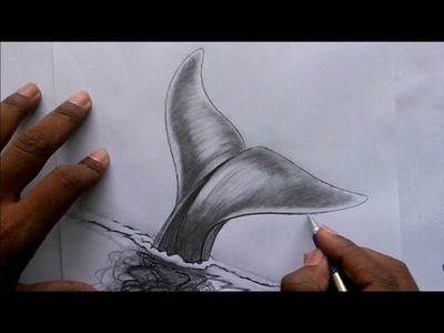 Art 3D drawing. How to draw 3D wings(tail) of BLUE WHALE fish with pencil