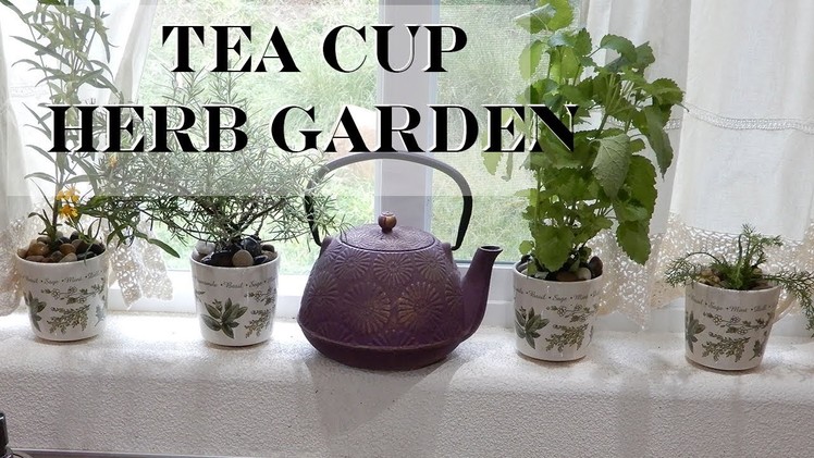 DIY Tea Cup Herb Garden (Herbs in the Kitchen)