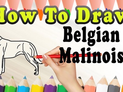 How To Draw A Belgian Malinois DOG | Draw Easy For Kids