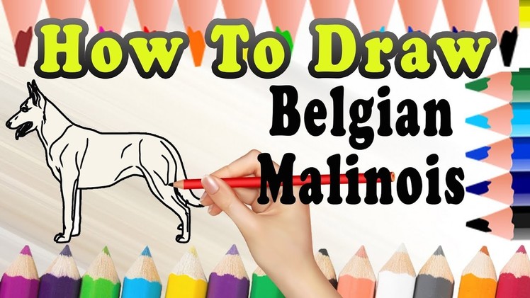 How To Draw A Belgian Malinois DOG | Draw Easy For Kids