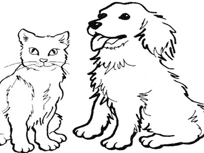 How to Draw a Cat and Dog Easy - zaman canvas