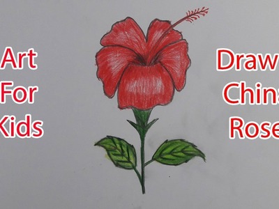 How to Draw a China Rose | Easy And Simple Way to draw a Flower China Rose || Avro Drawing School
