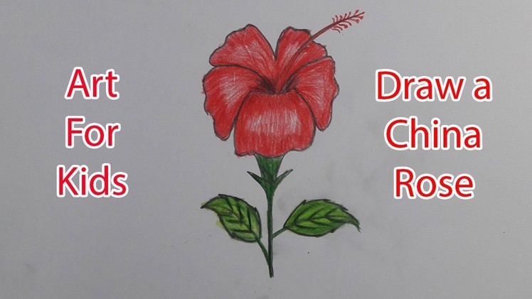 How to Draw a China Rose | Easy And Simple Way to draw a Flower China Rose || Avro Drawing School