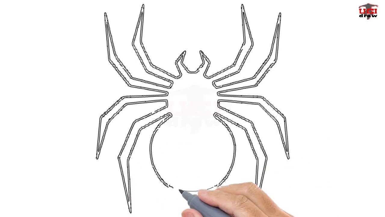 How to Draw a Spider Easy Step By Step Drawing Tutorials for Kids UCIDraw