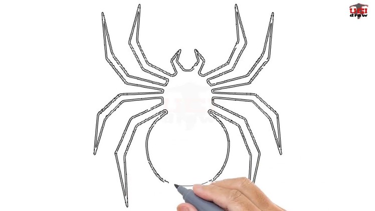 How to Draw a Spider Easy Step By Step Drawing Tutorials for Kids – UCIDraw