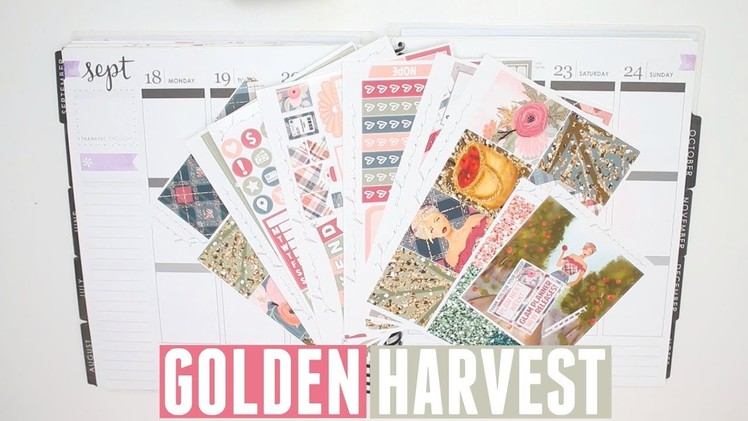 Plan With Me! | Glam Planner Golden Harvest