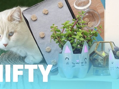9 DIY Projects For Cat Owners