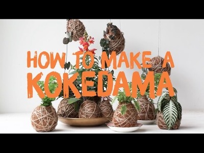 Annabel's guide to making your own kokedamas
