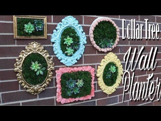 Dollar Tree DIY Succulent Wall Planter | Dollar Tree DIY Wedding Decor
