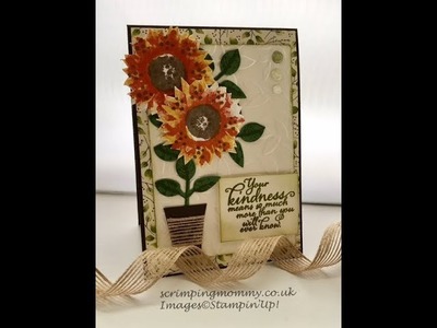 Potted Sunflower with Painted Harvest from Stampin' Up!