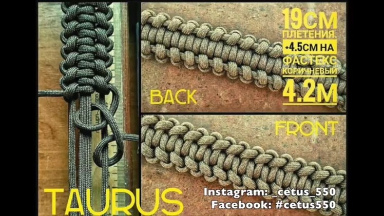 The Taurus Bracelet by Cetus