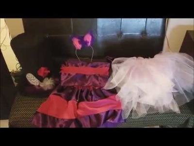DIY Cheshire Cat Costume