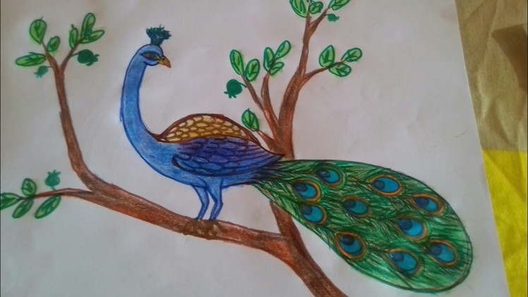 How to draw a beautiful peacock