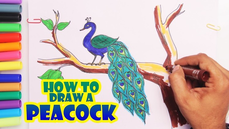 Learn Colors With Peacock | How to Draw a Peacock Step By Step | Drawing Coloring For Kids Toddlers