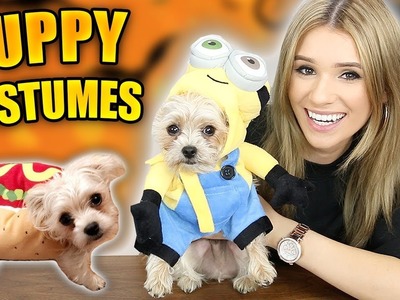Puppies Try VIRAL Halloween Costumes! (INSANELY CUTE)