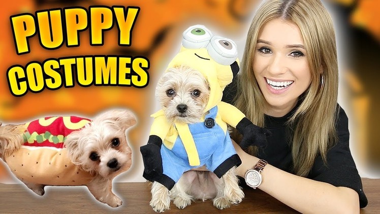 Puppies Try VIRAL Halloween Costumes! (INSANELY CUTE)