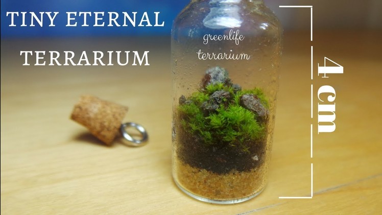 Tiny Bottled Garden - Eternal Terrarium - D.I.Y. Ecosystem