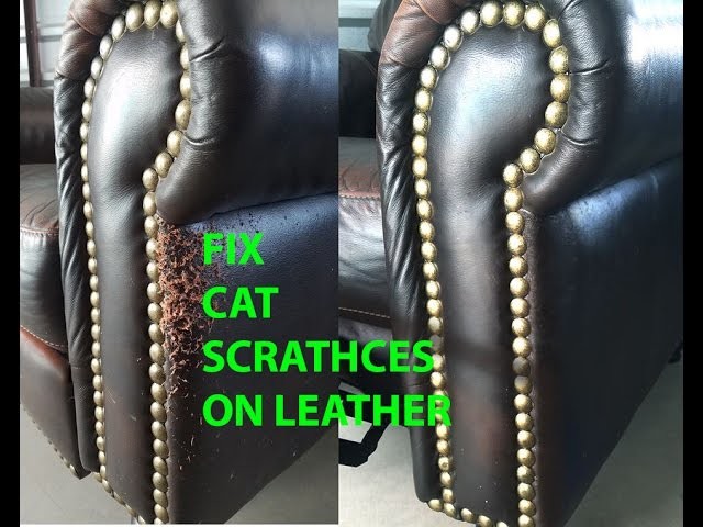 ???? CAT SCRATCH LEATHER REPAIR EASY AND QUICK!