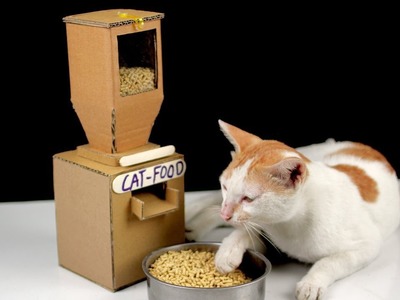 Diy Tom Cat Food Dispenser From Cardboard at Home [ Mr H2 ]
