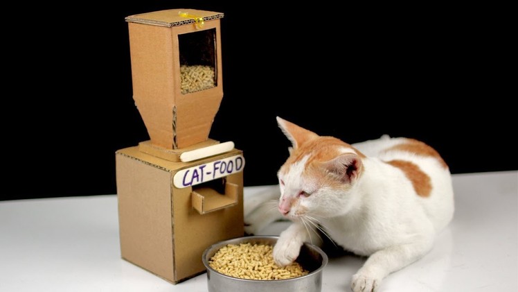 Diy Tom Cat Food Dispenser From Cardboard at Home [ Mr H2 ]