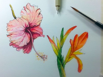 Drawing & Painting Hibiscus Flower with Ink & Watercolor