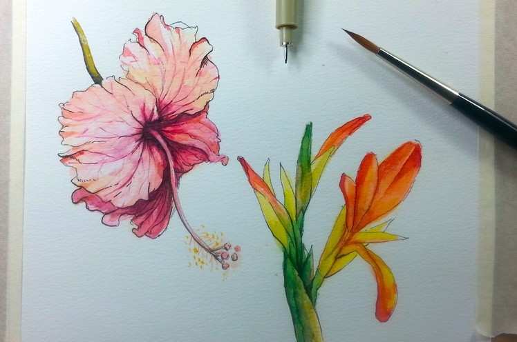 Drawing & Painting Hibiscus Flower with Ink & Watercolor