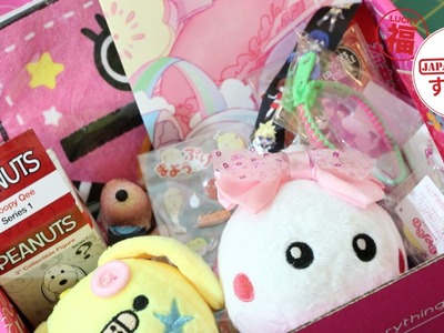 Kawaii Monthly Subscription Box Opening!