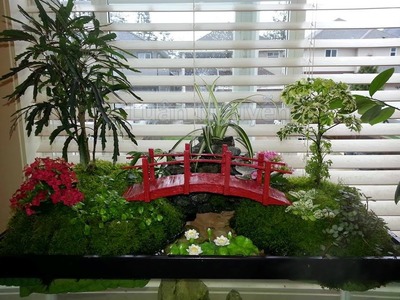 Miniature Garden on top of Fish Tank