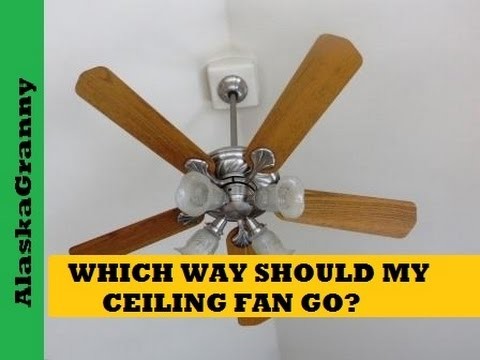 Which Way Should My Ceiling Fan Go, Which Way Should A Ceiling Fan