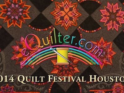 Houston Quilt Festival 2014 - Luana's Favorite Quilts