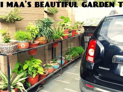 Nani Maa's Beautiful Garden Tour. :)
