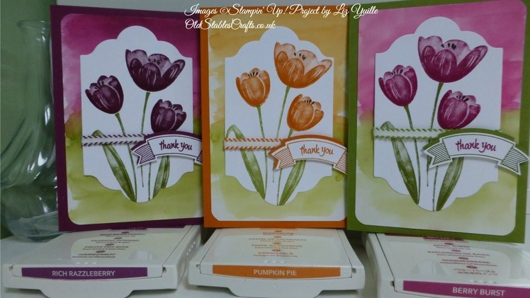 Tranquil Tulips Thank You Cards #104