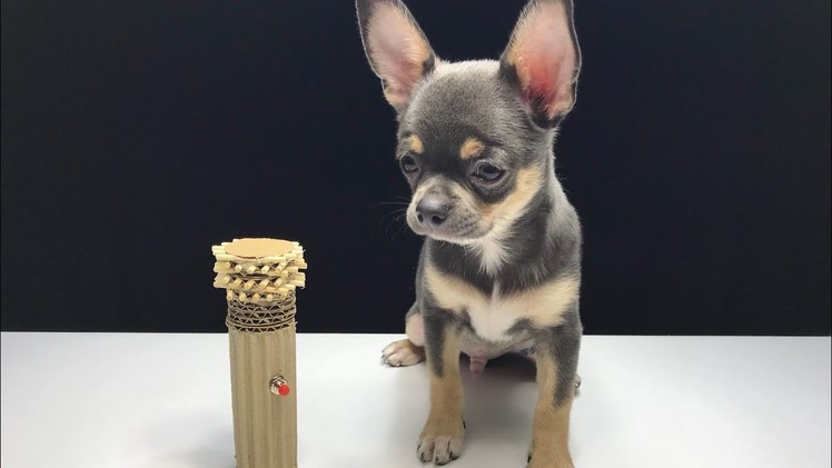 How to Make Amazing Puppy Dog Electric Comb from Cardboard and DC Motor