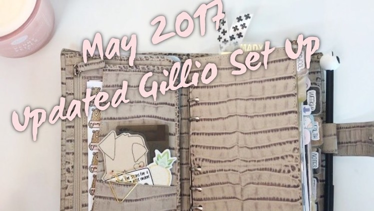 | NEW Gillio Croco UPDATED Set Up! May 2017 |